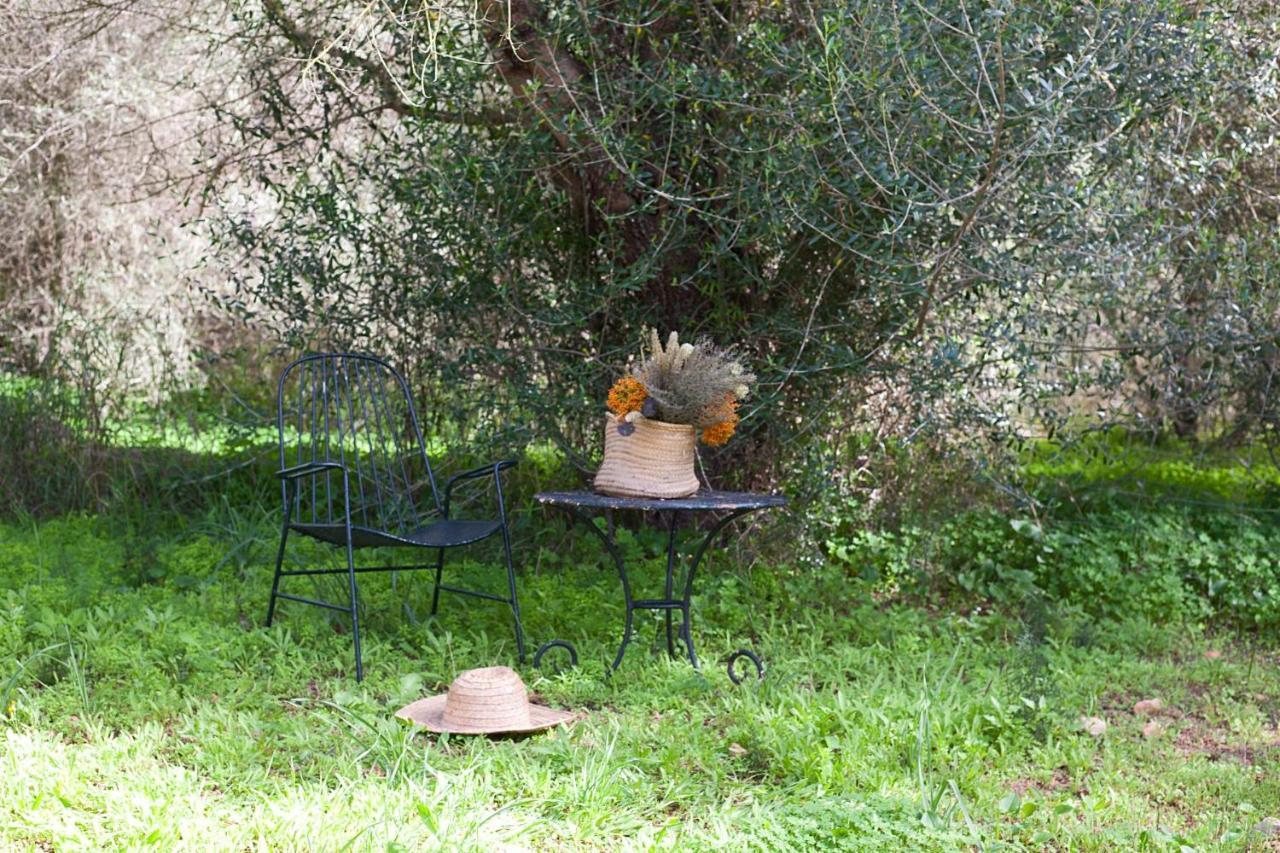 Finca Son Sureda Agroturismo Manacor  Extérieur photo